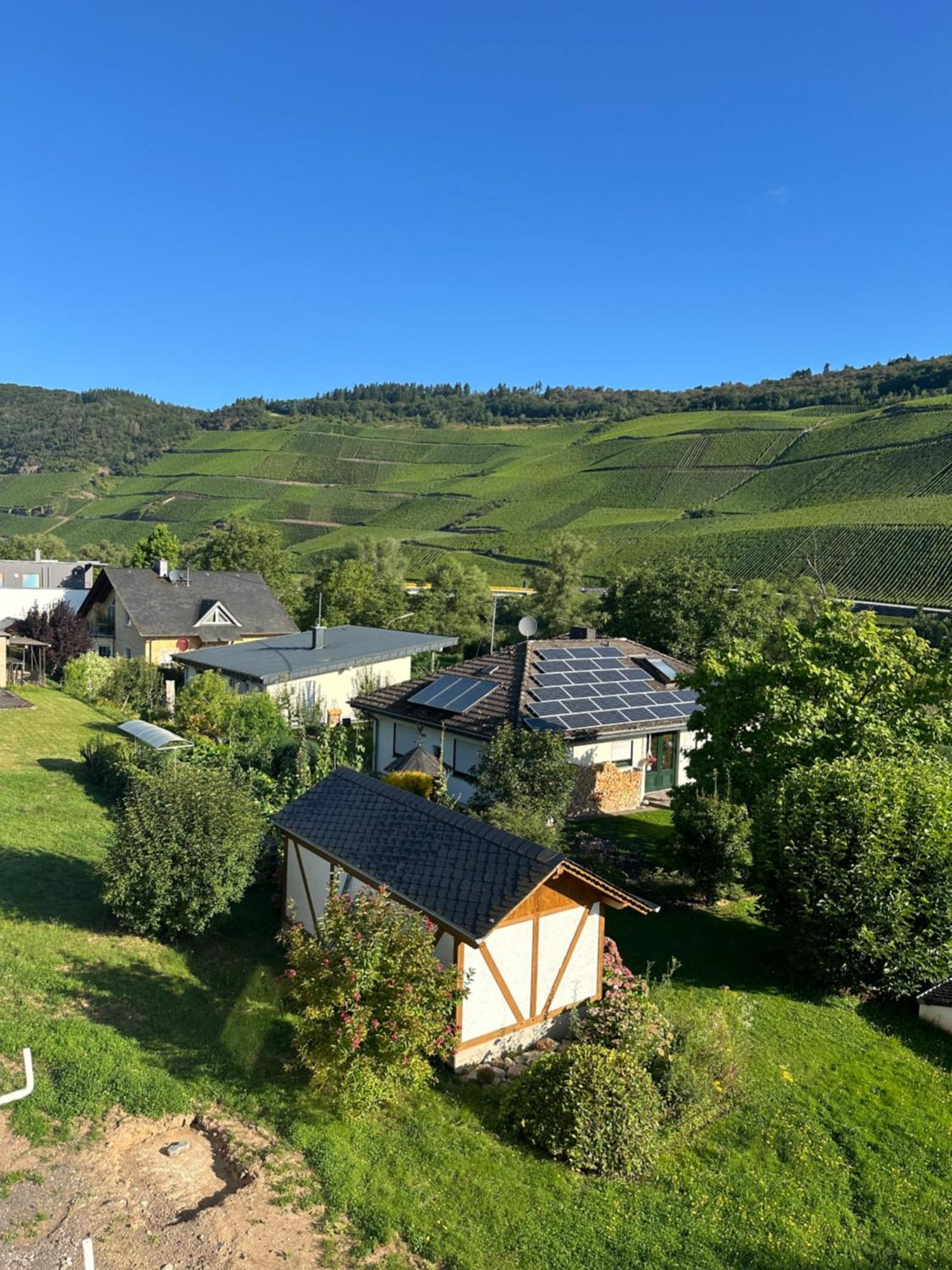 Moselappartements By Weingut Marco Adamy Lösnich Dış mekan fotoğraf