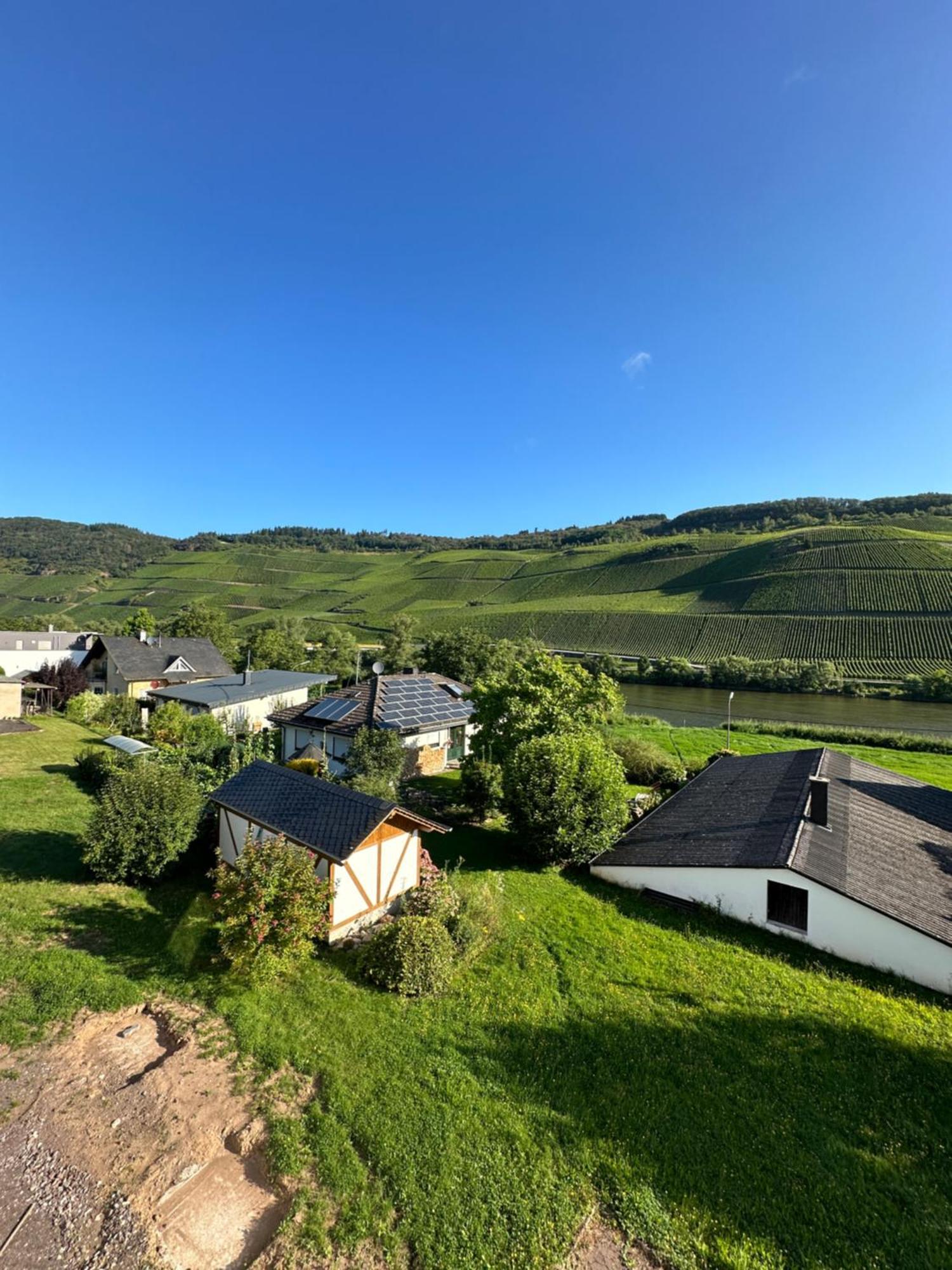 Moselappartements By Weingut Marco Adamy Lösnich Dış mekan fotoğraf