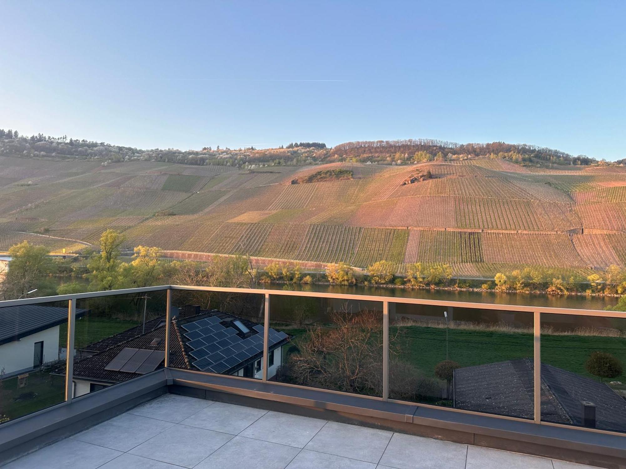 Moselappartements By Weingut Marco Adamy Lösnich Dış mekan fotoğraf
