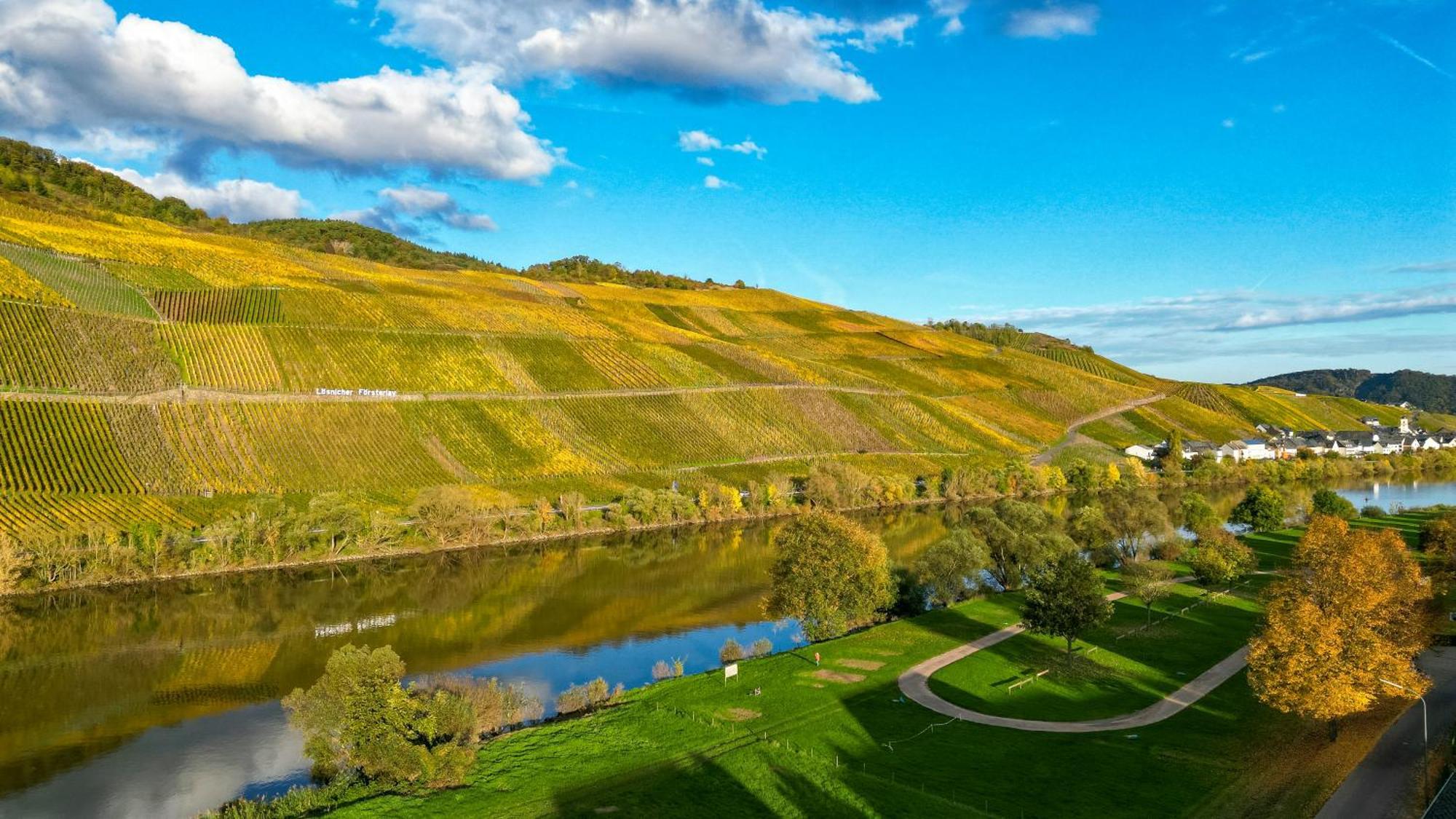 Moselappartements By Weingut Marco Adamy Lösnich Dış mekan fotoğraf