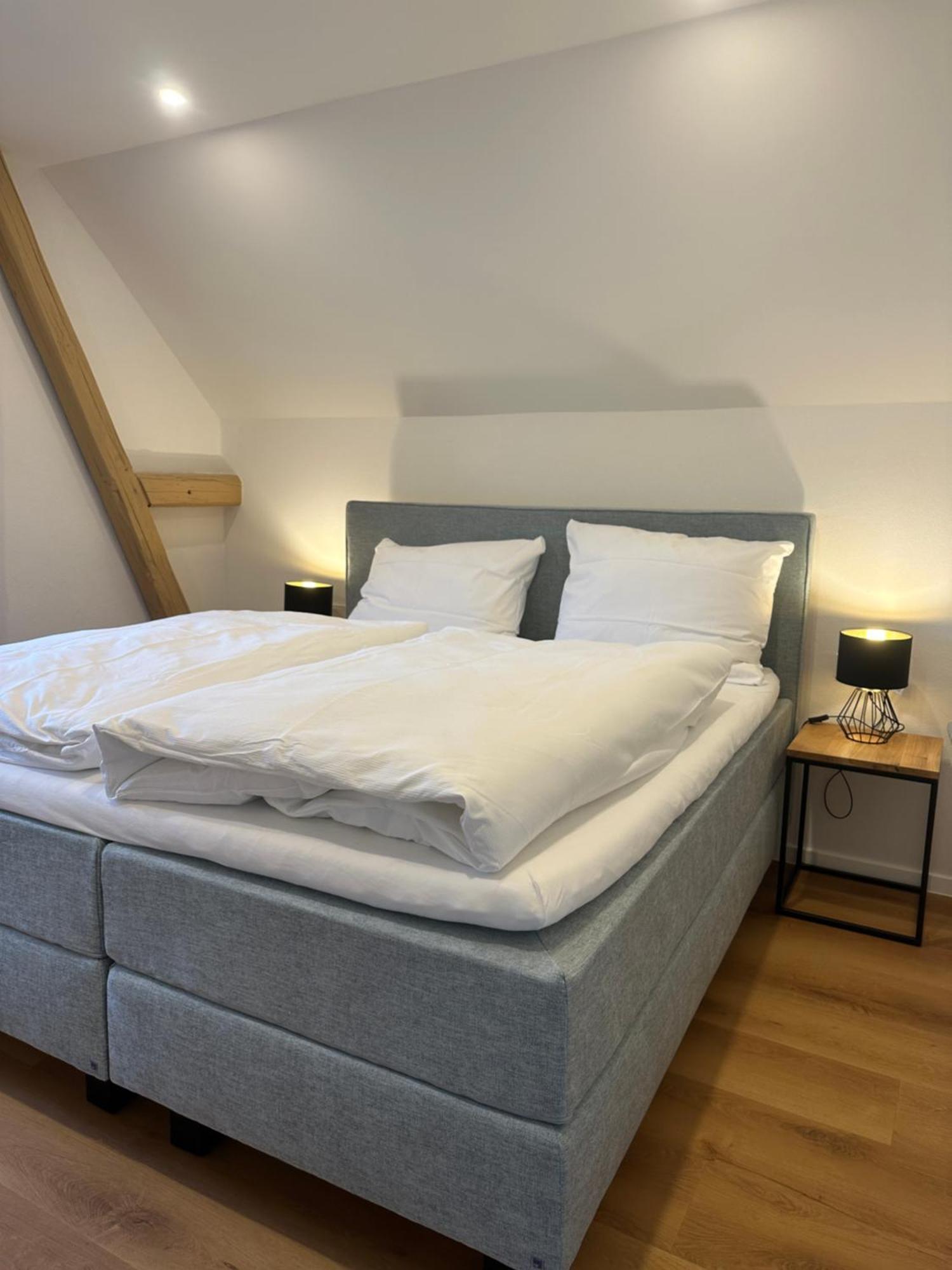 Moselappartements By Weingut Marco Adamy Lösnich Dış mekan fotoğraf