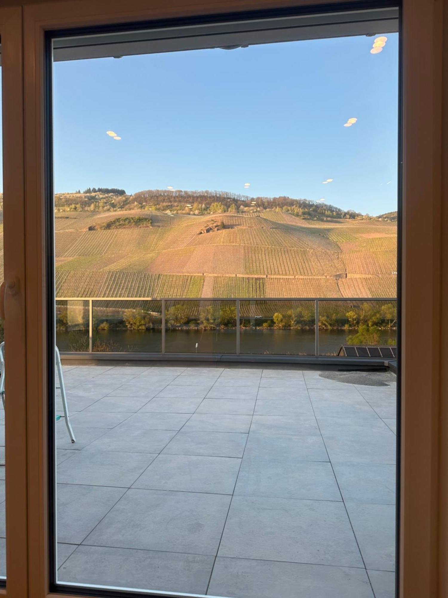 Moselappartements By Weingut Marco Adamy Lösnich Dış mekan fotoğraf